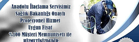 izmir manisa ve edremit de böcek ilaçlama şirketi firmasıdır.